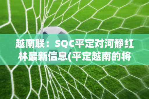 越南联：SQC平定对河静红林最新信息(平定越南的将军是谁)