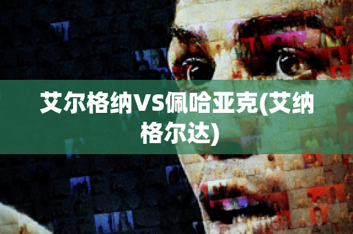 艾尔格纳VS佩哈亚克(艾纳 格尔达)