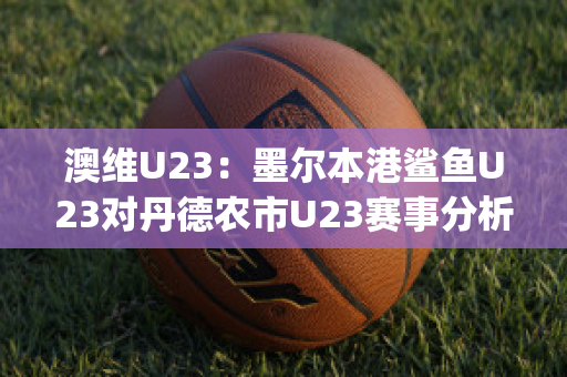 澳维U23：墨尔本港鲨鱼U23对丹德农市U23赛事分析(墨尔本港鲨鱼对休姆)