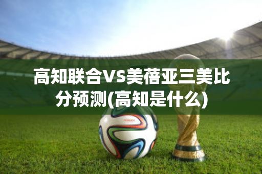 高知联合VS美蓓亚三美比分预测(高知是什么)