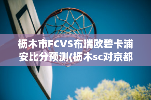 枥木市FCVS布瑞欧碧卡浦安比分预测(枥木sc对京都比分)