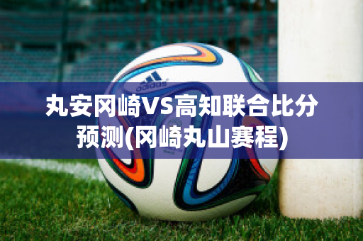 丸安冈崎VS高知联合比分预测(冈崎丸山赛程)