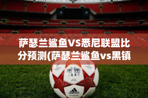 萨瑟兰鲨鱼VS悉尼联盟比分预测(萨瑟兰鲨鱼vs黑镇市足球俱乐部)