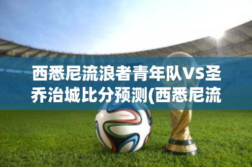 西悉尼流浪者青年队VS圣乔治城比分预测(西悉尼流浪者亚冠冠军奇迹)