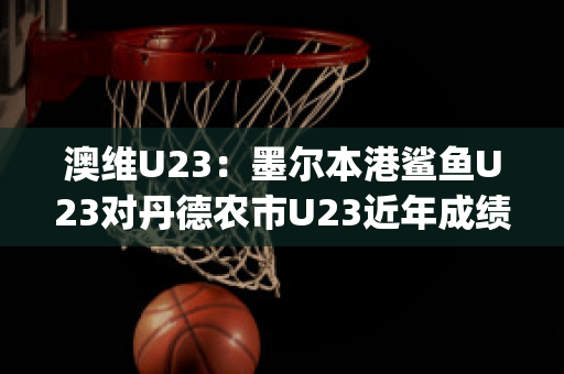 澳维U23：墨尔本港鲨鱼U23对丹德农市U23近年成绩(墨尔本港鲨鱼对休姆)