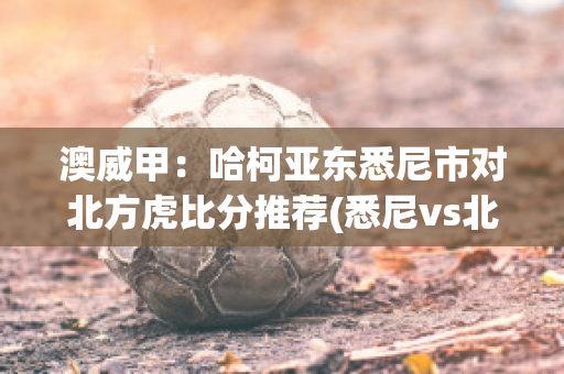 澳威甲：哈柯亚东悉尼市对北方虎比分推荐(悉尼vs北京)