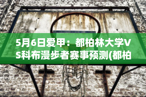 5月6日爱甲：都柏林大学VS科布漫步者赛事预测(都柏林科技大学世界排名)