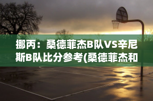 挪丙：桑德菲杰B队VS辛尼斯B队比分参考(桑德菲杰和桑纳菲尤尔)