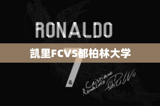 凯里FCVS都柏林大学