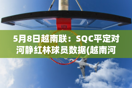 5月8日越南联：SQC平定对河静红林球员数据(越南河静钢铁厂百度百科)