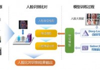 美洲杯人脸识别系统: