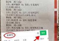 欧洲杯比赛结果数据:欧洲杯比赛结果数据统计